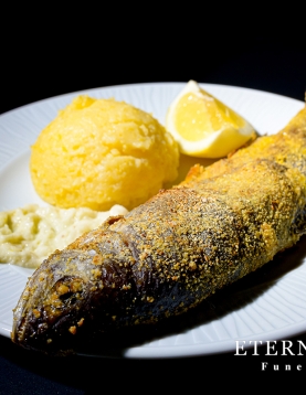 PASTRAV CU MAMALIGUTA SI MUJDEI